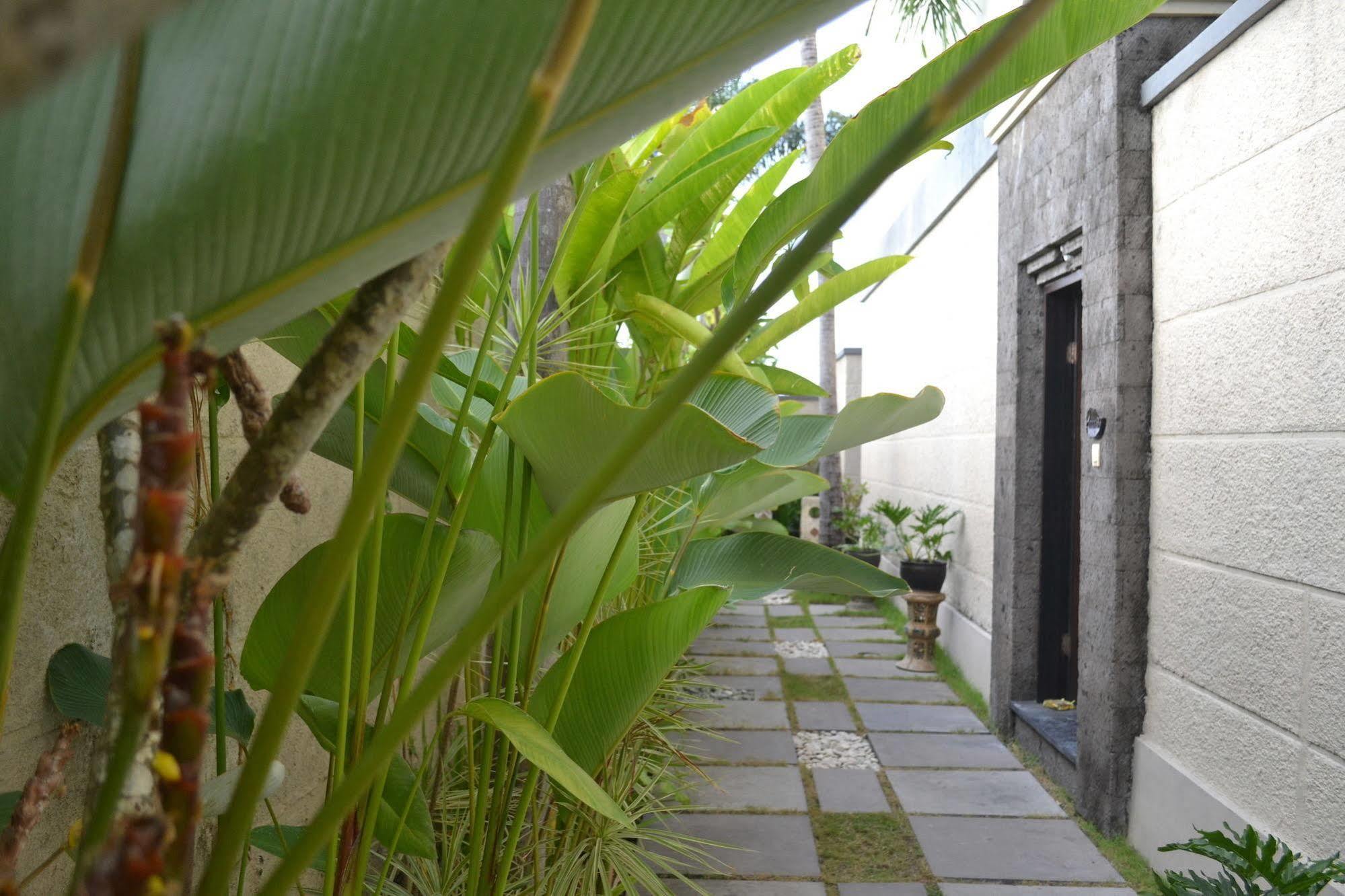 D'Alang Alang Villas Seminyak Zewnętrze zdjęcie